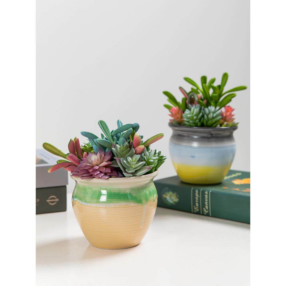 采购产品假花，模拟多肉植物，仙人掌装饰品，组合陈设，室内桌面