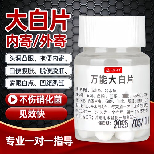 英国大白片观赏鱼药内外寄拖便