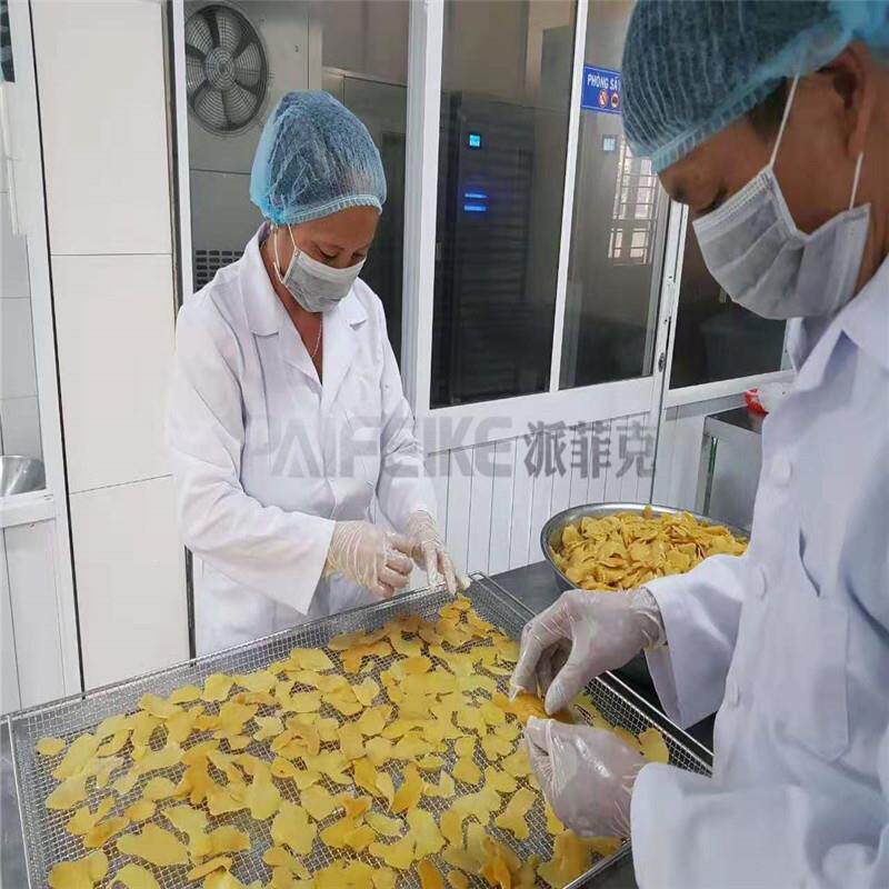 芒果干专用烘干机泵 果干干空果脯PFK-5类热干燥机 气能烘设备