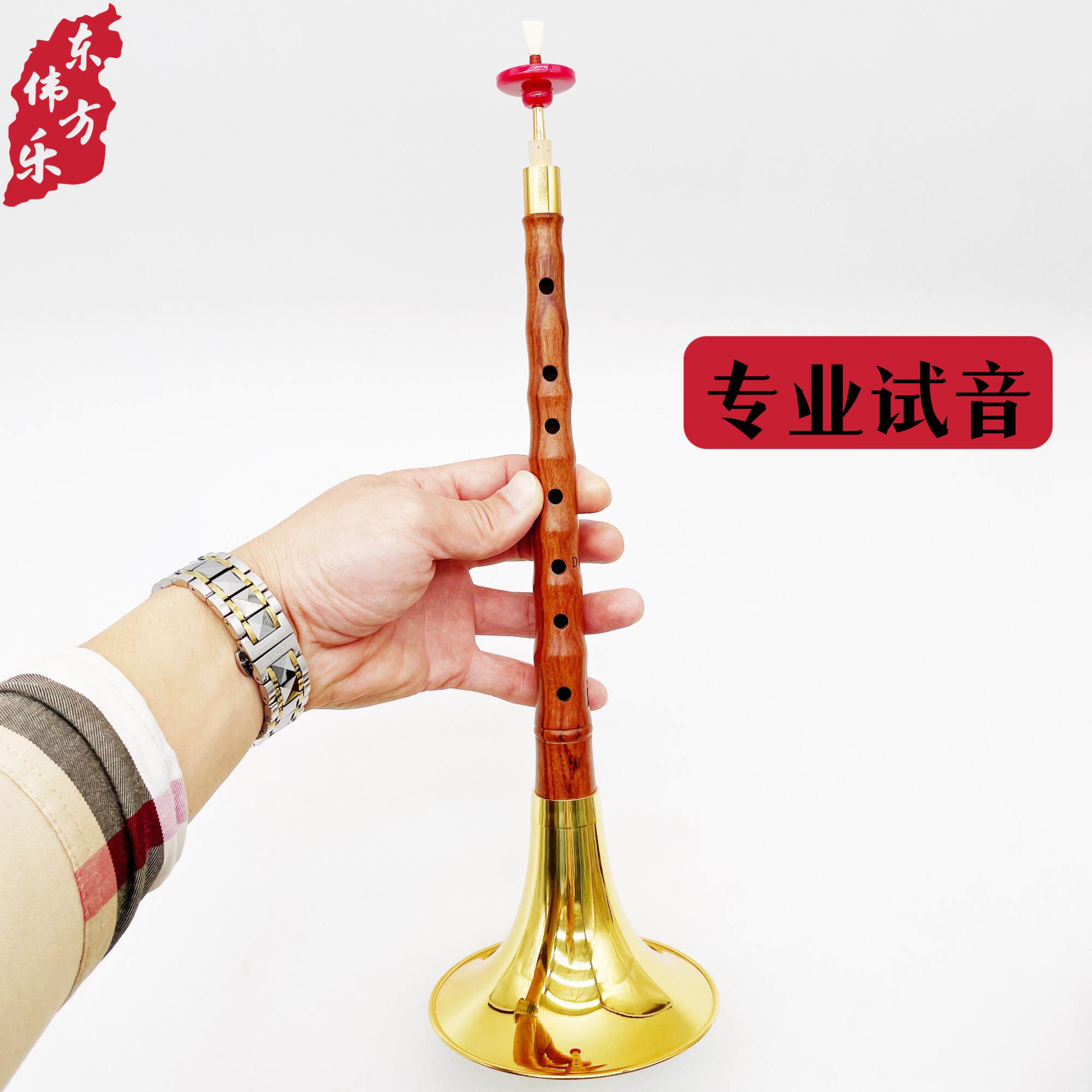 唢呐初学者红木唢呐专业演奏唢呐保音准芯子气盘哨片配件全套乐器