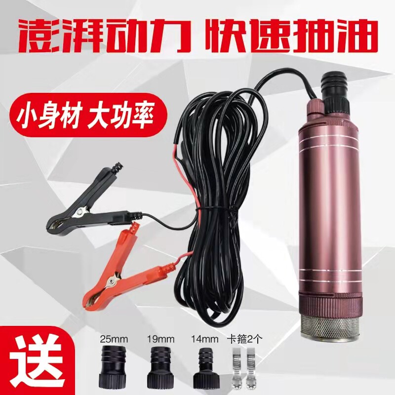抽油泵电动柴油12v大功率车载加油泵24v48v家用加油枪220v抽水泵