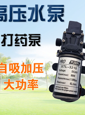 微型电动隔膜泵自吸加压大功率直流水泵果树打药泵家用12V24V80W