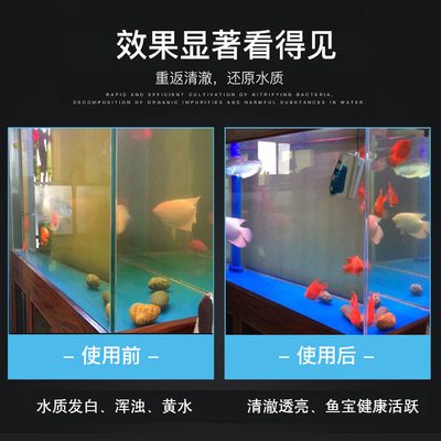 鱼缸硝化细菌消化菌水质稳定分解粪便鱼食残渣去浑水菌苗水族三宝