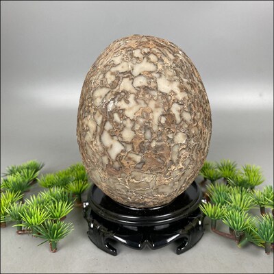 天然结核纹石蛋树皮石蛋恐龙石蛋原石摆件观赏石奇石收藏他山石头