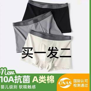 内裤秋冬生全棉平角裤纯绵透气纯棉大码加四角士内裤