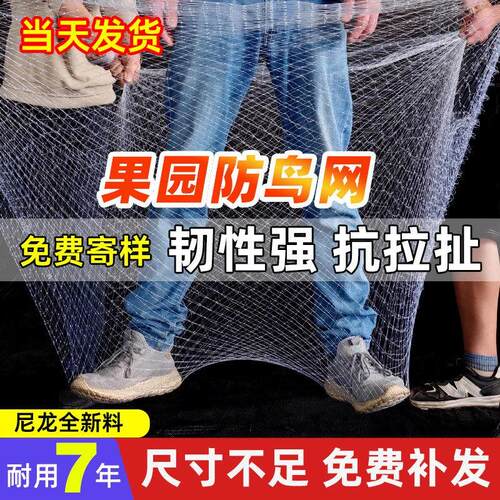 果园防鸟网果树大棚尼龙线防鸟网阳台樱桃树葡萄窗户鱼塘用的天网