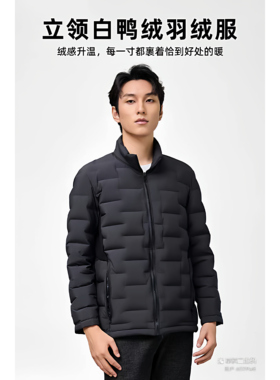25908大牌同款90国标白鸭绒羽绒内胆冬季户外保暖可搭配冲锋衣