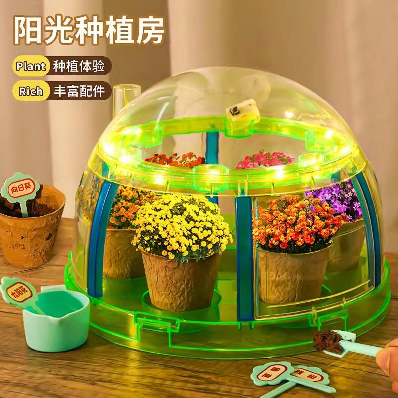 种花植物长草娃娃子开花卉幼儿园小农场迷你儿童种植小盆栽阳光房