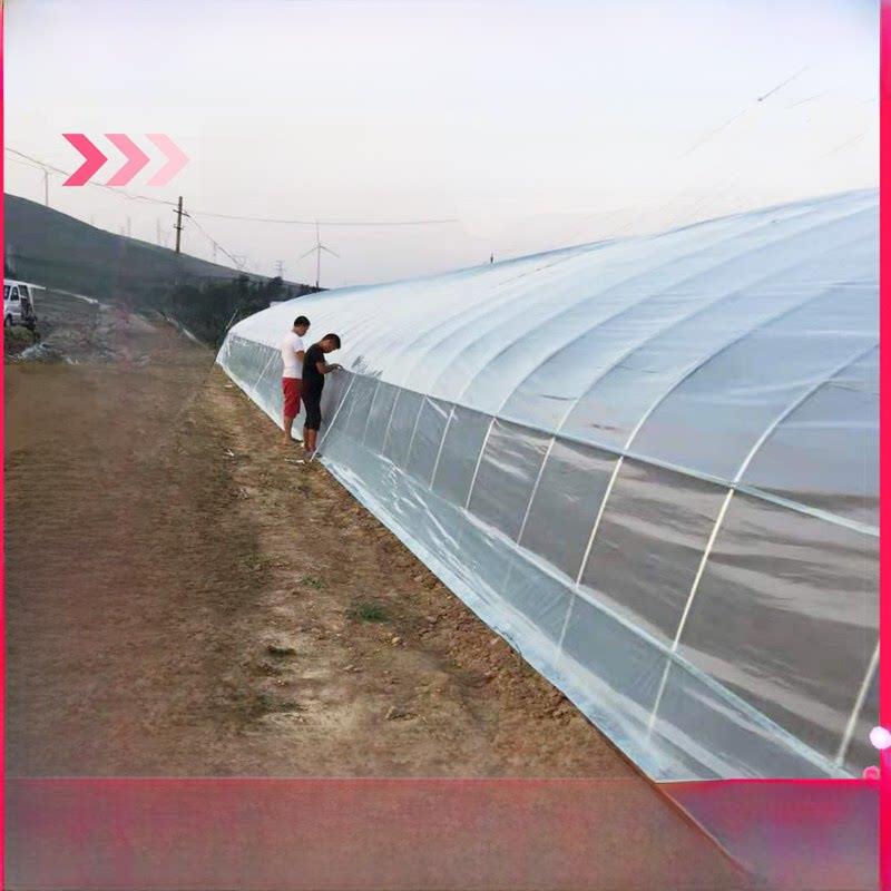 蔬菜温室大棚钢管骨架育苗草莓西瓜种植椭圆管养殖大棚钢架全套