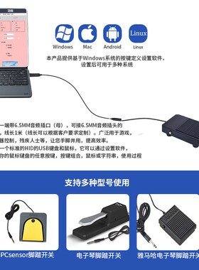 PCsensor 通用USB 自定义6.5音频母头转接口适用脚踏开关鼠标键盘