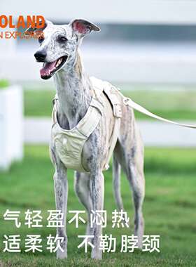 ZOOLAND狗狗胸背牵引绳遛幼小中大型犬泰迪柯基比熊边牧博美链子