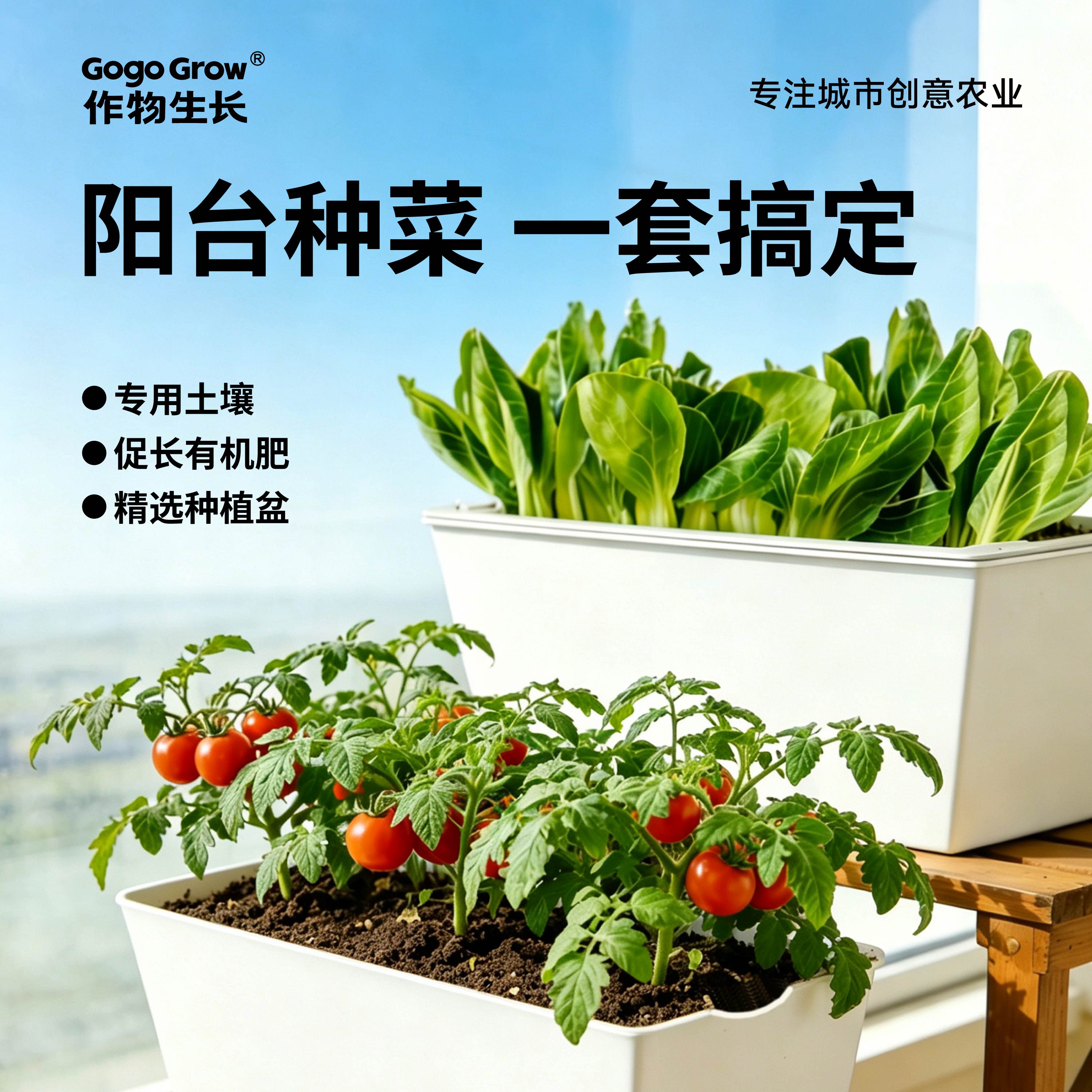 作物生长家庭农场园艺种植套装有机蔬果阳台种菜盆栽种子四季菜园