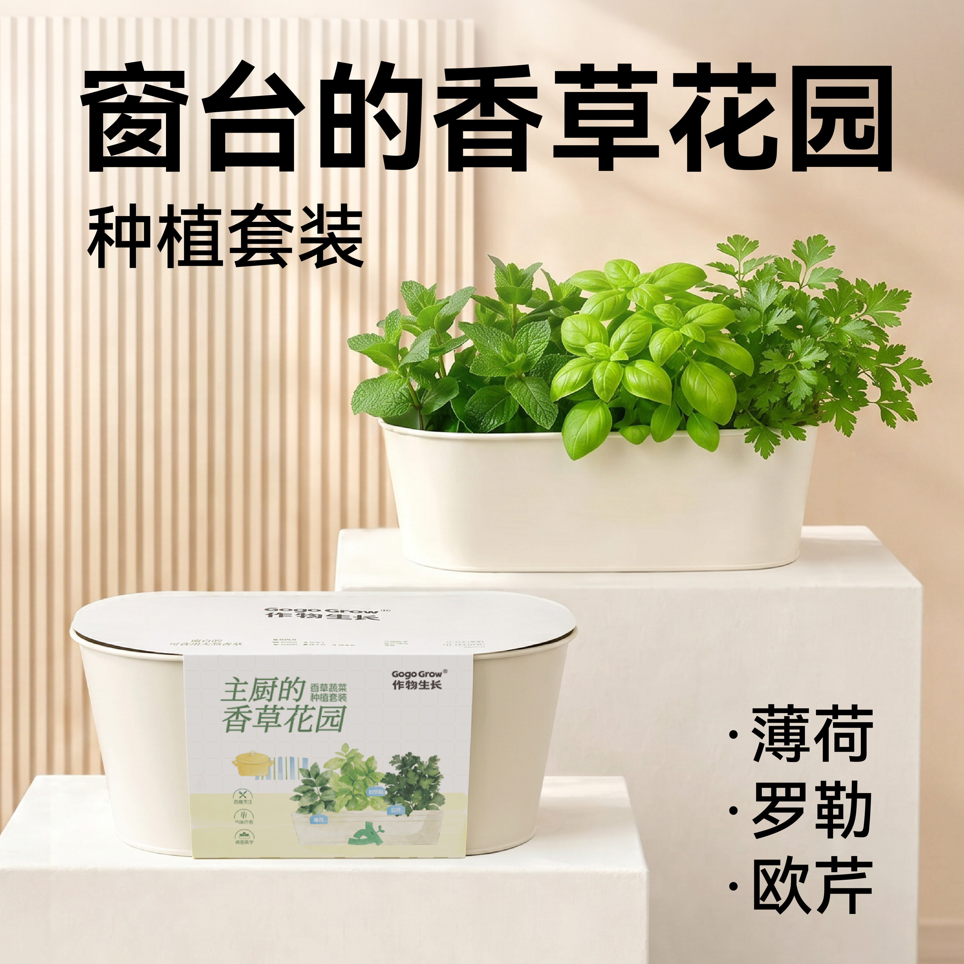 作物生长香草种植盆栽套装绿色有机室内绿植薄荷阳台花园新鲜美味
