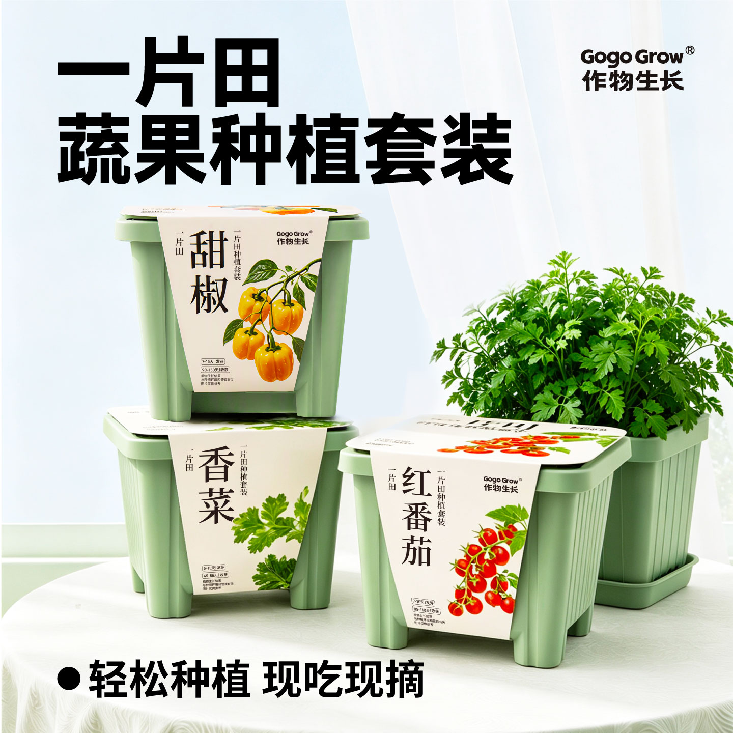 作物生长一片田蔬果种植套装家庭园艺阳台种菜盆栽香菜甜椒红番茄