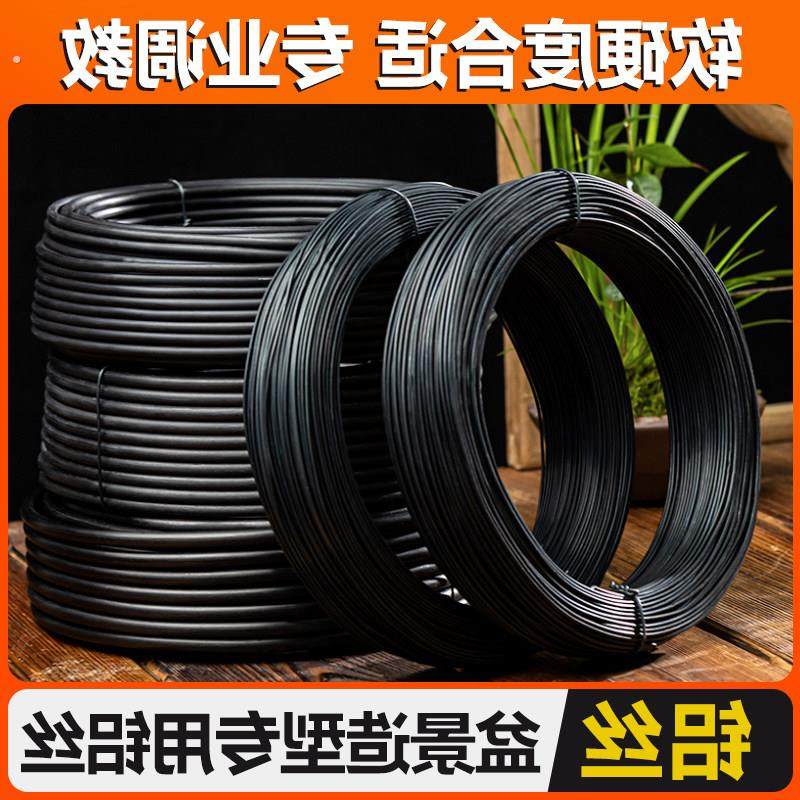 铝丝 铝线 直径1 1.5 2 2.5 3 3.5 4 5 6 7 8mm盆景铝丝 造型铝丝,鲜花速递/花卉仿真/绿植园艺,其它园艺用品,淘宝优惠券,粉丝福利购,淘宝优惠卷