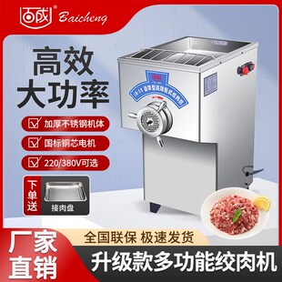 电动绞肉机 百成JR 22立式 绞肉机 碎肉宝 碎肉机