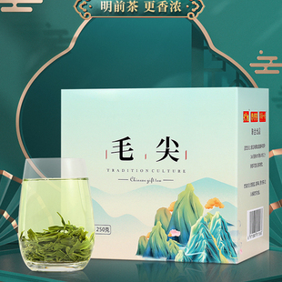 天旭毛尖茶2025新茶春茶叶明前高山烘青绿茶叶官方旗舰店正品250g