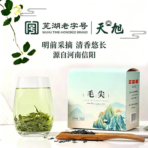 天旭毛尖茶明前春茶自己喝