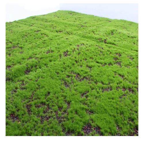 仿真苔藓造景草皮上墙商场墙贴花墙植物墙盆栽橱窗青苔地毯草坪