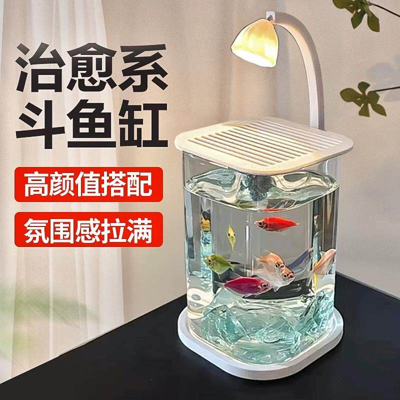 创意斗鱼生态养鱼缸适用缸小型网红造景桌面观赏小夜灯装饰玻璃缸