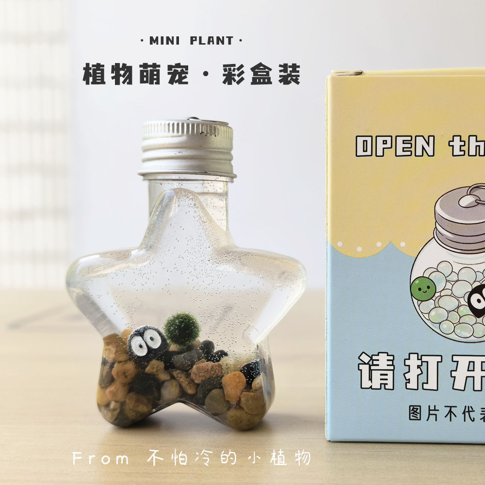 海藻球生态瓶创意稀奇古怪小玩意便宜学生桌面小宠物植物生日礼物图片
