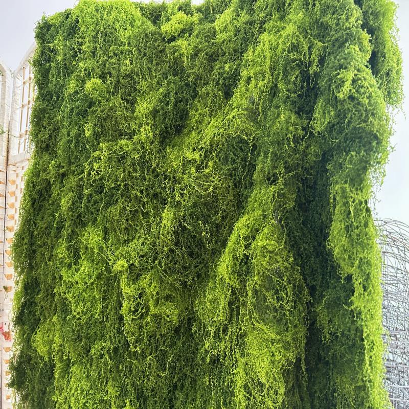 三色彷真苔藓草坪绿化景观青苔草皮水陆缸铺面植物墙水苔盆景垫材