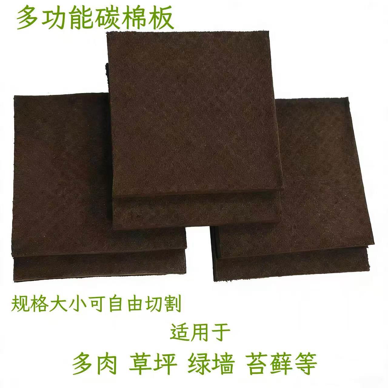 绿墙苔藓碳棉板营养基质绿化种植板生物草坪板