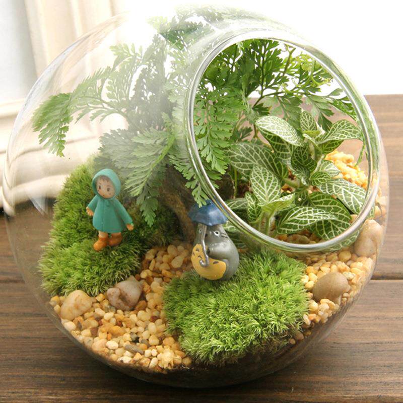 苔藓微景观 创意礼品摆件 苔藓瓶生态瓶 小梅13斜口 办公室摆件