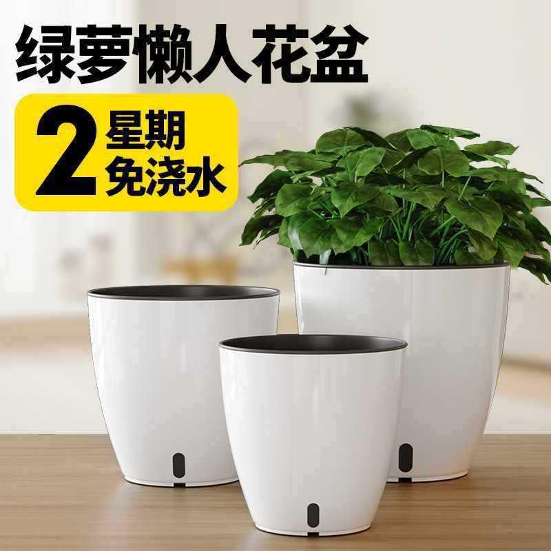 自吸水自动懒人白掌养浇水养花套盆绿萝绿箩免储水花盆盆水养盆栽