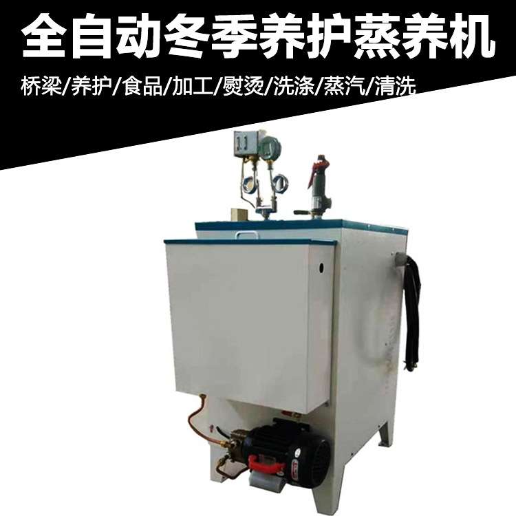 桥梁养护蒸养机48kw蒸汽发生器电加热混凝土养护蒸汽机锅炉蒸汽机
