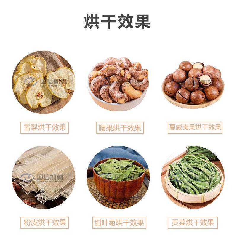巴旦木腰果带履夏带烘干机 榛果子松子坚烘干机 威夷果网烘干NRE