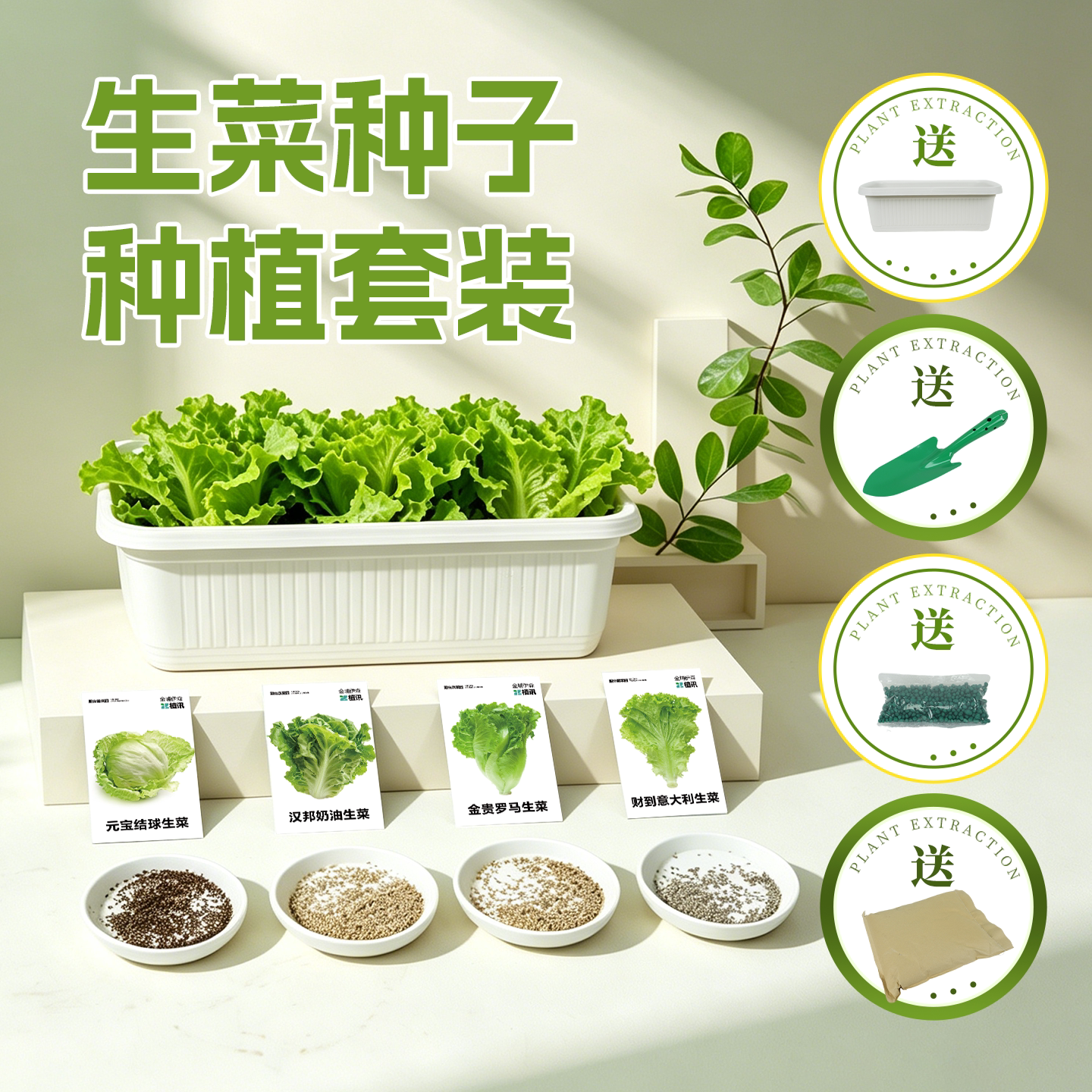 生菜种子种植套装轻食家庭可食用有机阳台室内儿童可观察盆栽种菜