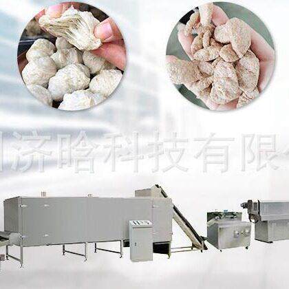 大豆拉丝蛋白生产设备,组织蛋白加工设备,人造素肉生产线