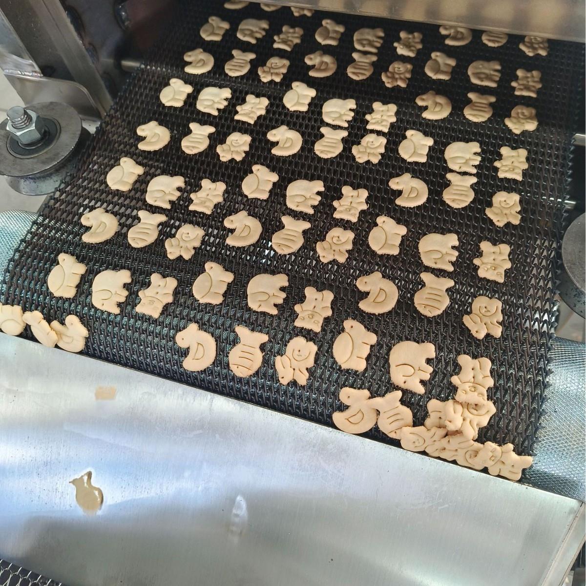全自动饼干生产线韧性饼干设备天然气烤炉饼干成型机
