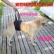 宠物狗小中大型犬瘫痪残疾康复锻炼提拉助行带前后腿四肢后肢辅助
