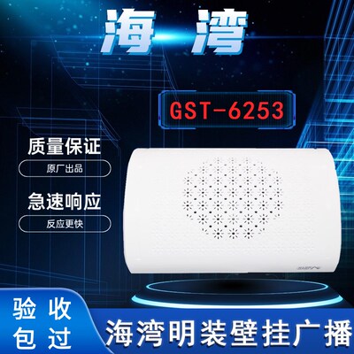 海湾 HY6253广播3W壁挂扬声器 壁挂消防广播恒业消防广播暗装喇叭