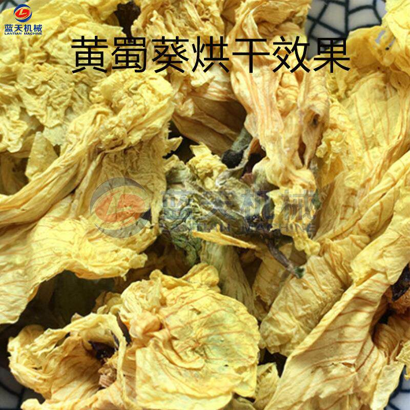 能空气热设泵秋蜀葵干燥机 大型黄花葵黄花莲烘干干备 黄蜀HFW葵