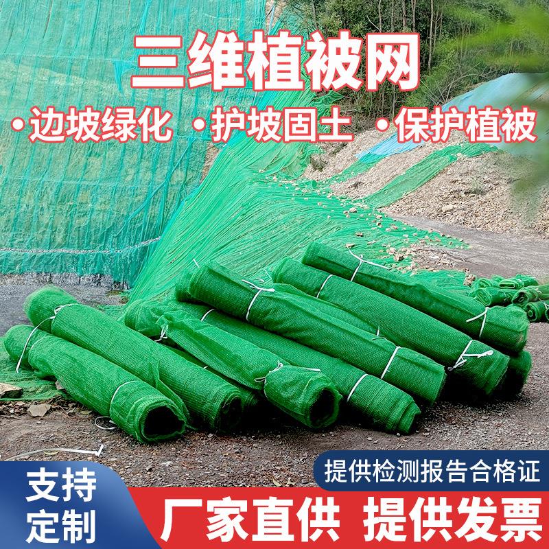 三维植被网绿化植草网边坡固土三维土工网垫护坡生态绿色植被网
