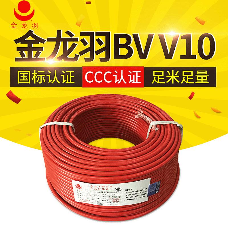 家装电线入户线主线纯铜双层绝缘护套线BVV10平方电线
