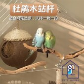 杜鹃木虎皮牡丹玄凤啃咬原木站杆棍宠物鹦鹉鸟笼子户外用品站架