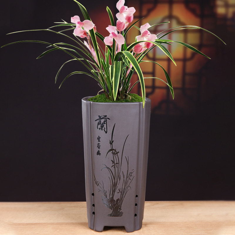 紫砂兰花专用高款花盆古典个性创意大号透气陶瓷室内桌面绿植盆栽