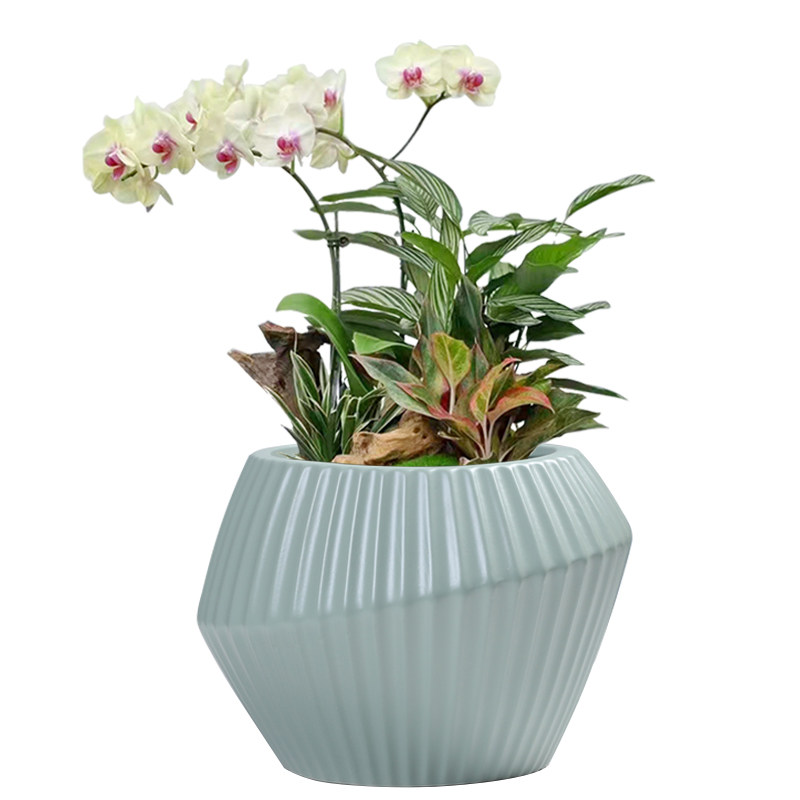 北欧风亚光陶瓷花盆新款创意个性竖纹阳台室内绿萝兰花蝴蝶兰盆栽