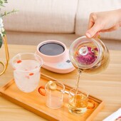 养生壶迷你型养生杯办公室家用小型煮茶杯多功能电热杯烧水热奶杯