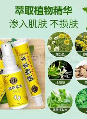 【天猫正品】宏草堂植物草本脚爽乳膏组合装60ml+15g/盒