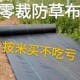 除草布果园林园艺抑草布透气透水农用大棚加厚抗老化遮草布盖草布