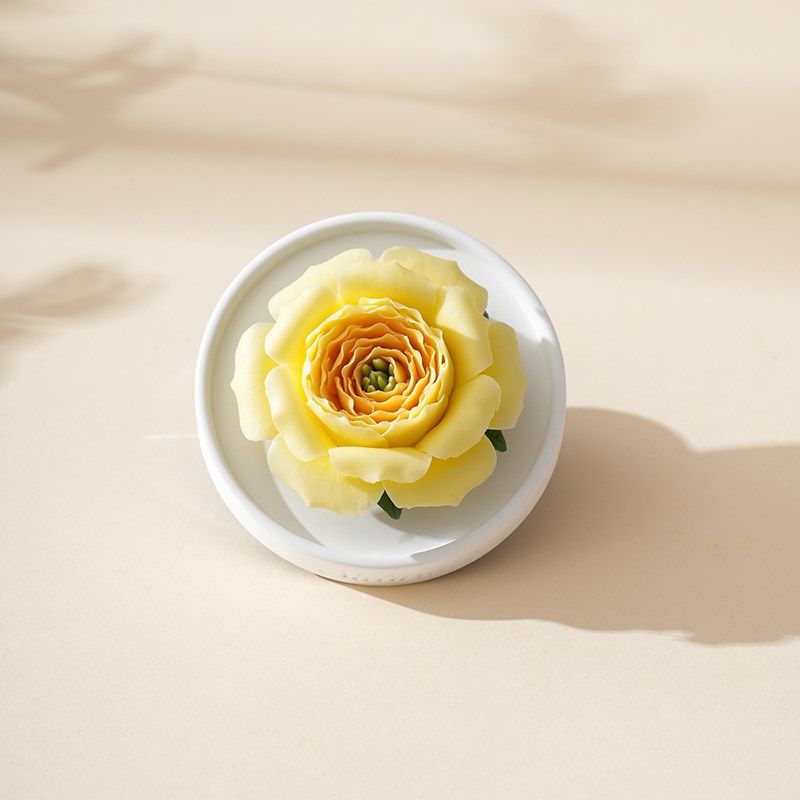 情人节礼物送女友瓷花香薰礼盒花朵散香器摆件办公室桌面女生生日,家居饰品,散香器,淘宝优惠券,粉丝福利购,淘宝优惠卷