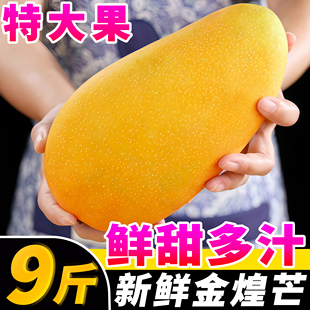 广西金煌芒新鲜芒果10斤当季热带水果大青芒超大特大水仙芒果包邮