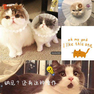 仟枫咖啡 美式商用咖啡机 滴滤机 咖啡壶滤纸50张 专用24cm过滤纸