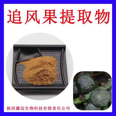 追风果提取物无中间商追风果粉欢迎选购桄榔子提取物