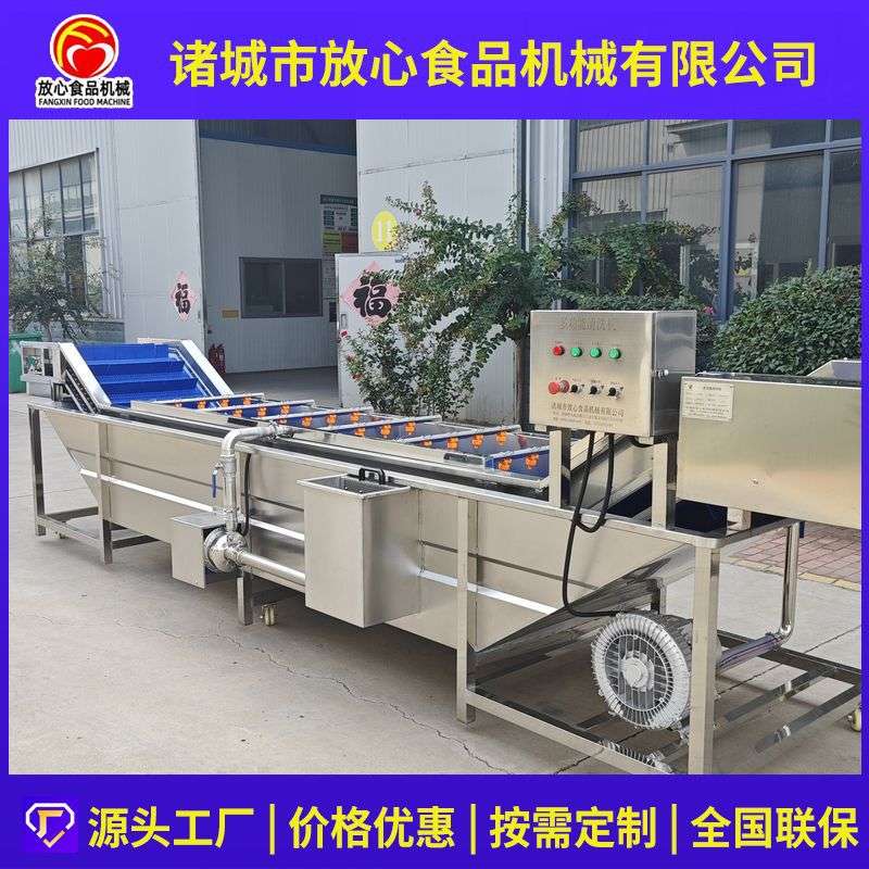 韭菜清洗机全自动蔬菜清洗机小葱芹菜蒜薹韭菜苔气泡喷淋清洗设备